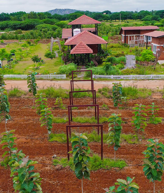 Farms For Sale | Buy Farm Land | Farm Land For Sale Near Bangalore