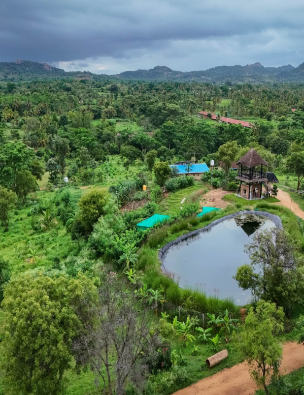 Dharani Farm
