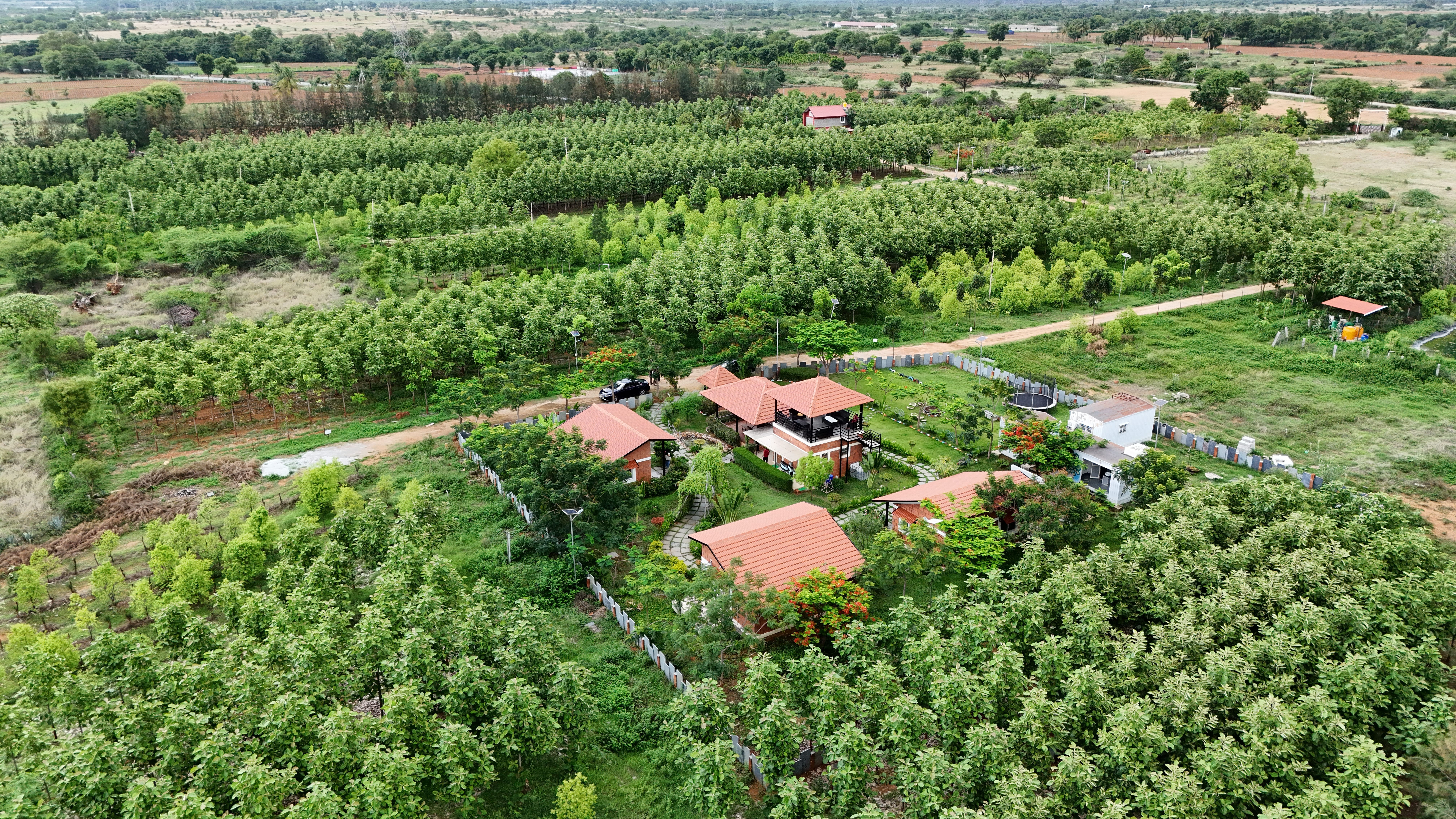 Eco Farm