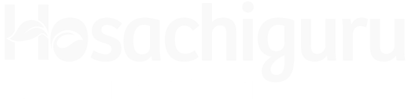 Hosachiguru Logo