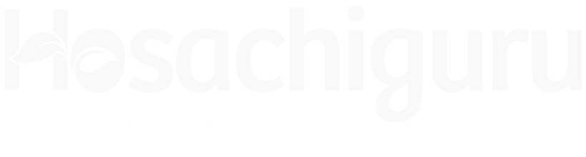 Hosachiguru Logo
