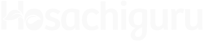 Hosachiguru Logo