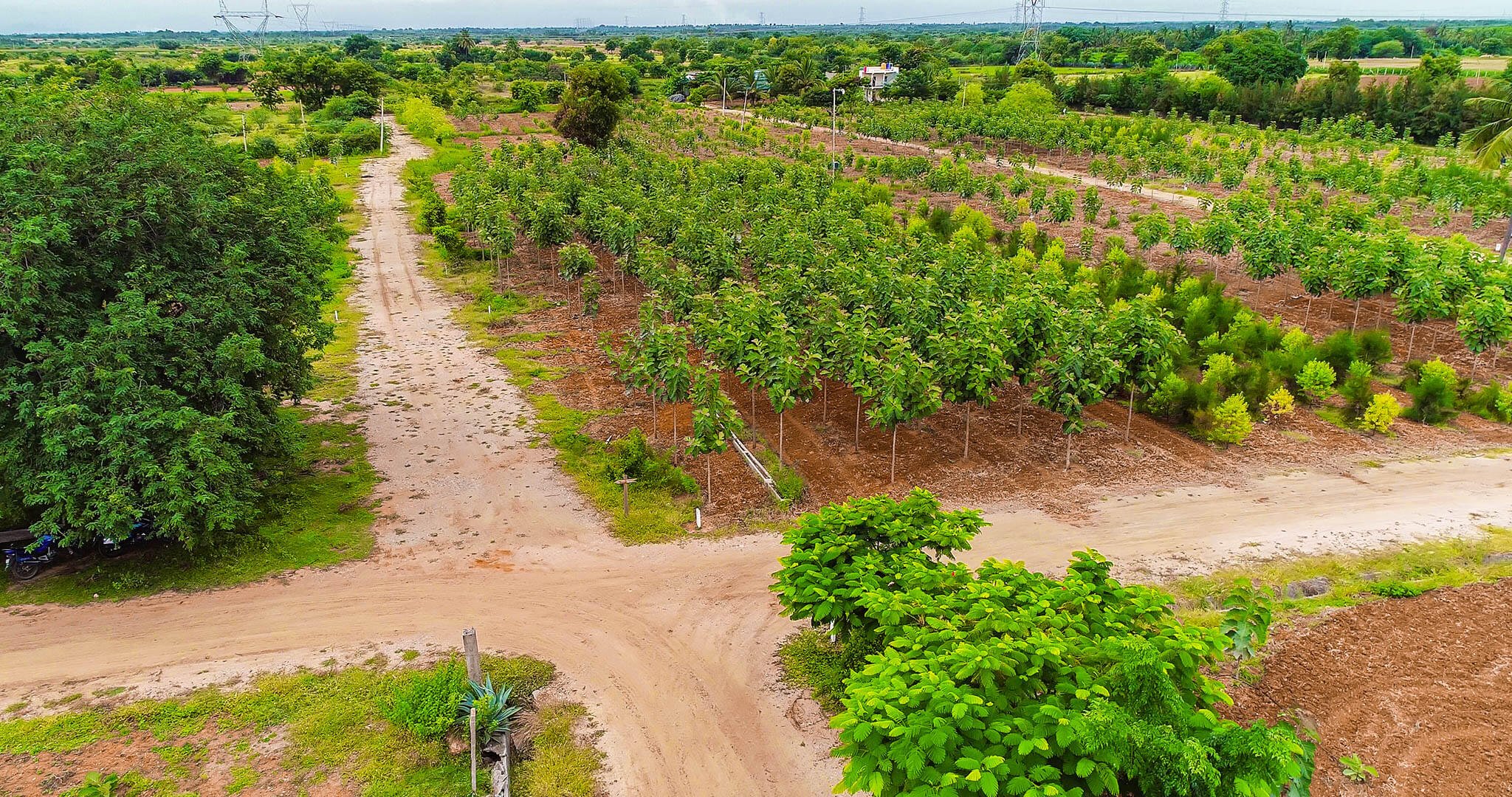 Agriculture Land For Sale Karnataka