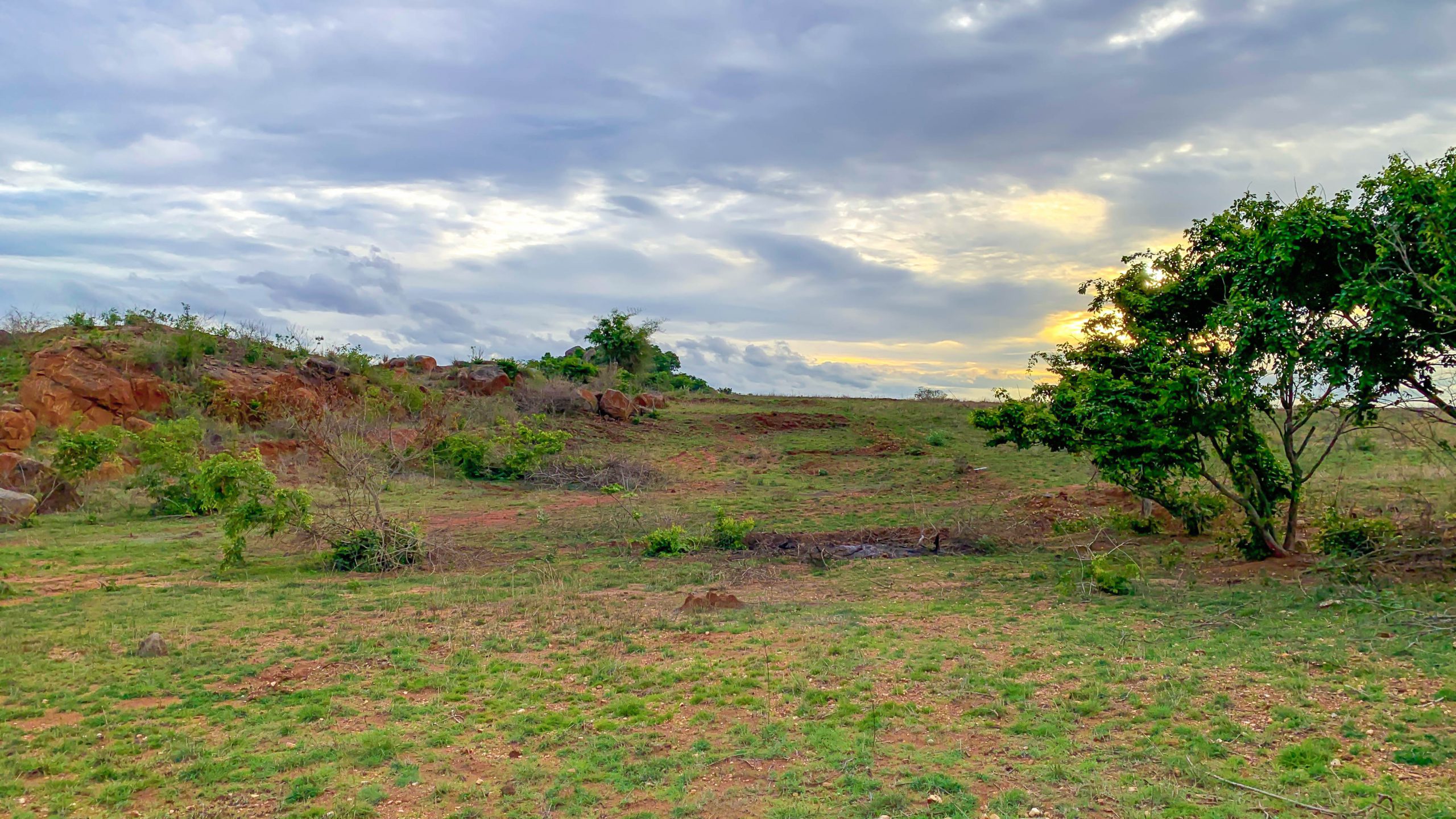 Hosur Agriculture Land