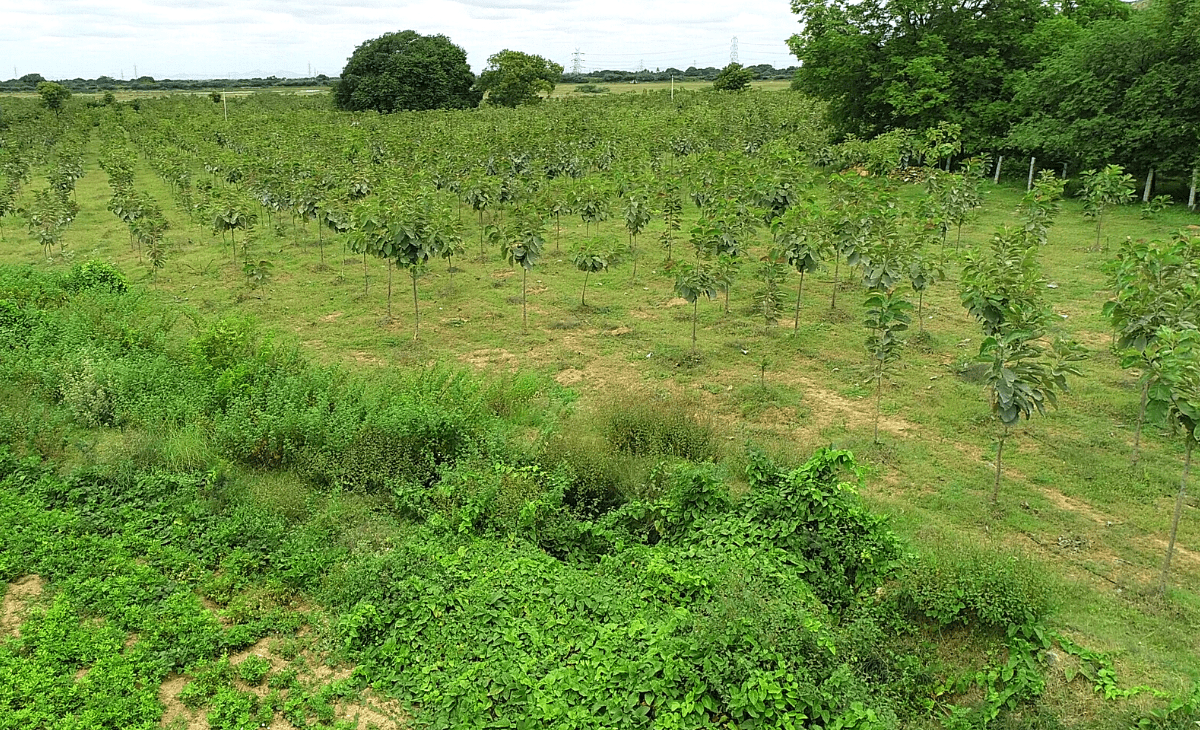 Agriculture Land Near