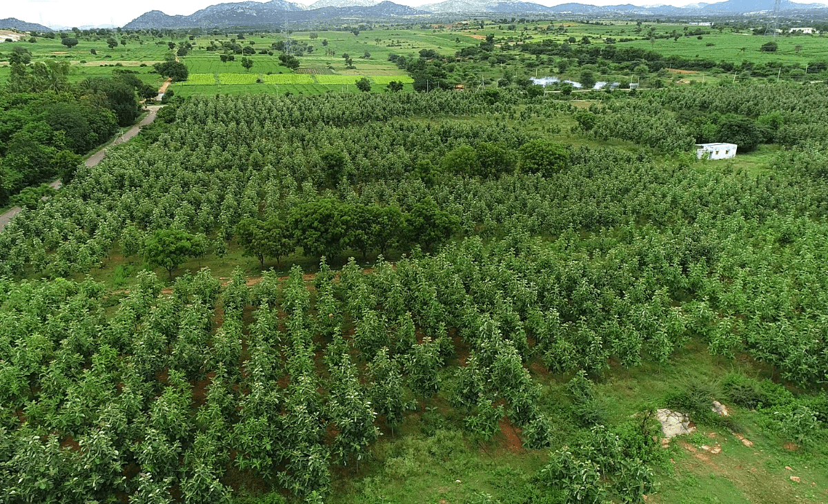 Best Agriculture Land For Sale in Karnataka