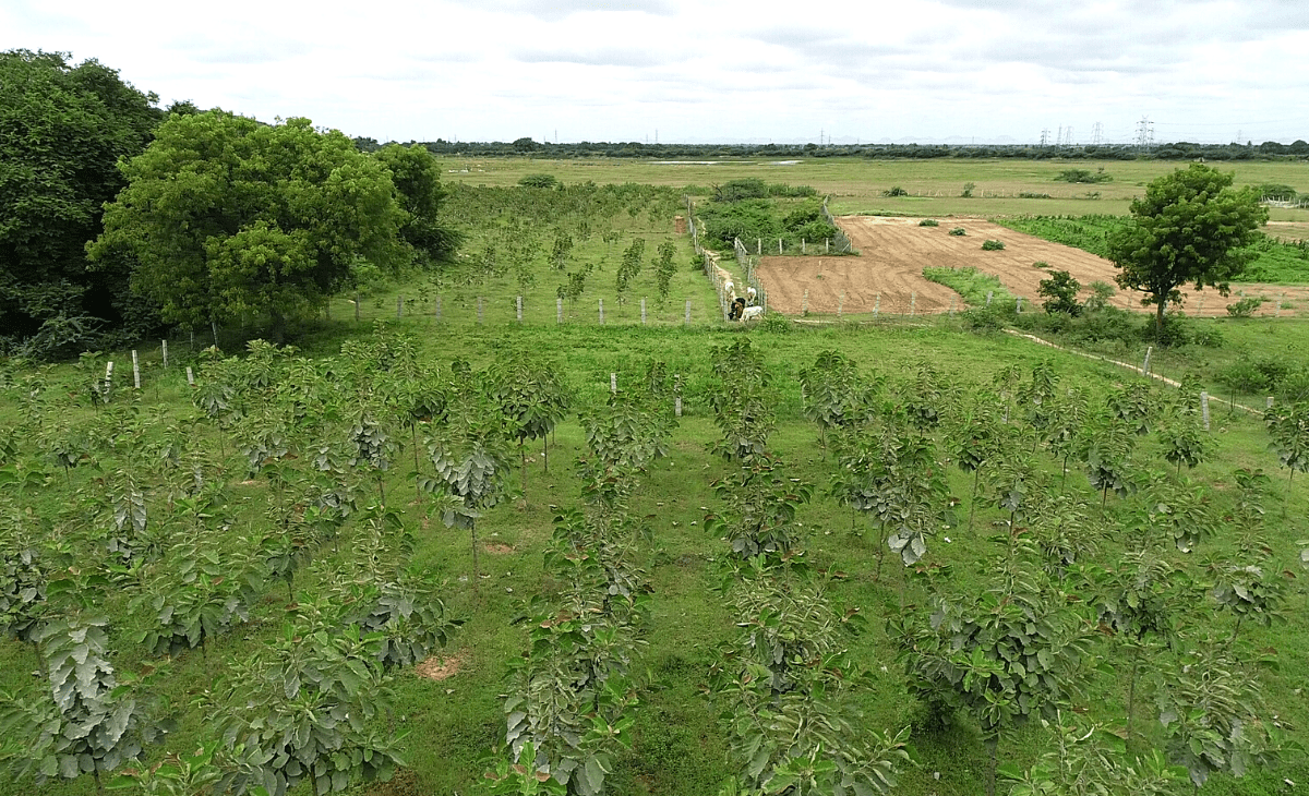 Agriculture Land Near Me