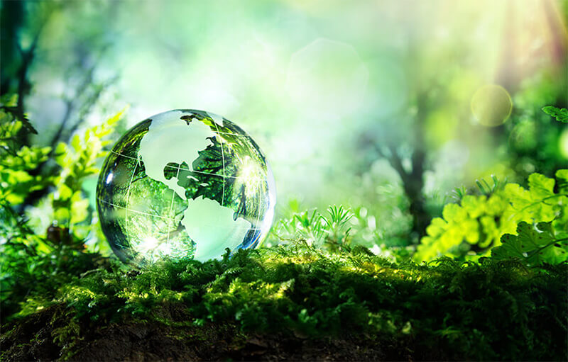 World Environment day