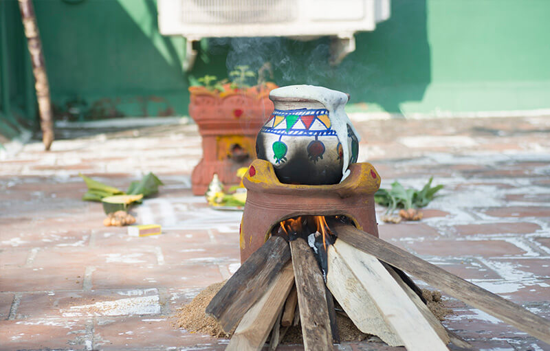 Sankranti Celebration