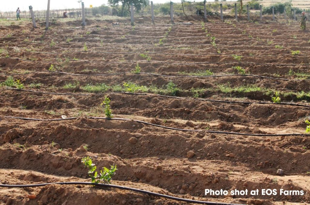 AI-based Irrigation Solutions