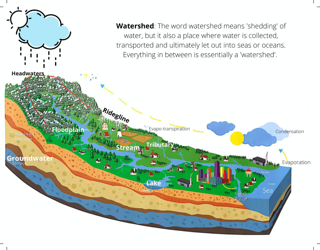 watershed hydrology