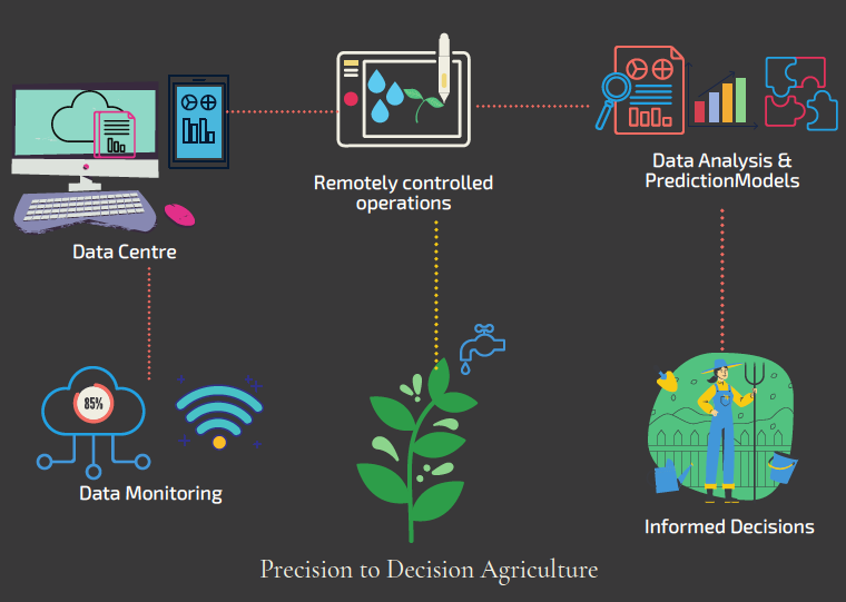 Precision to Decision Agriculture