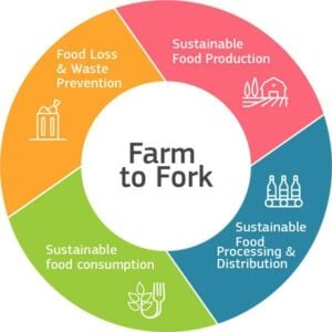 Creating a regenerative food forest – farm to fork