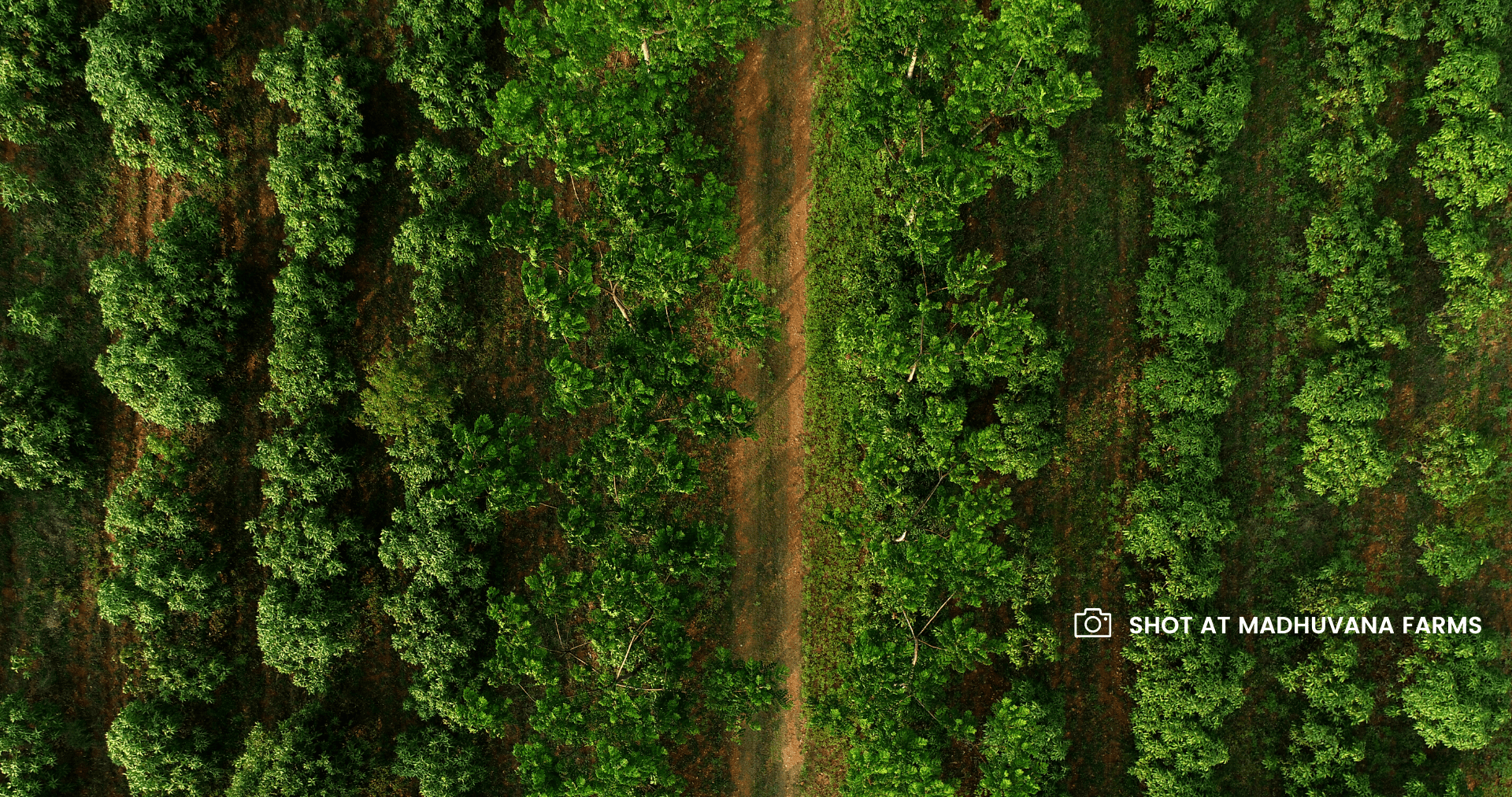 Bangalore Agricultural Land