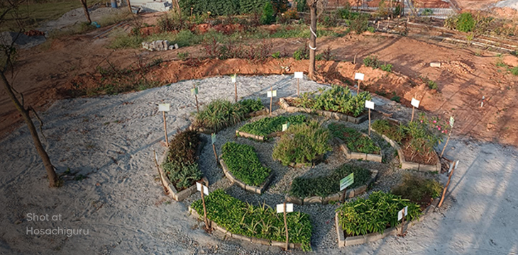 Blog Mandala garden