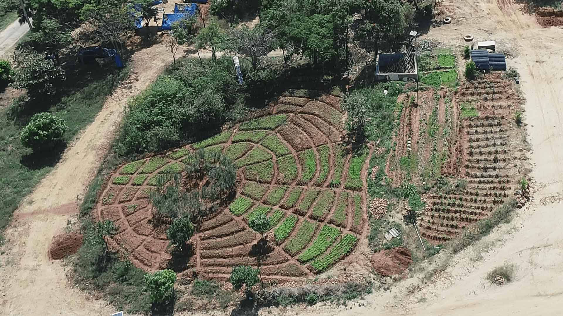 Sambhrama and Dhanvi farms
