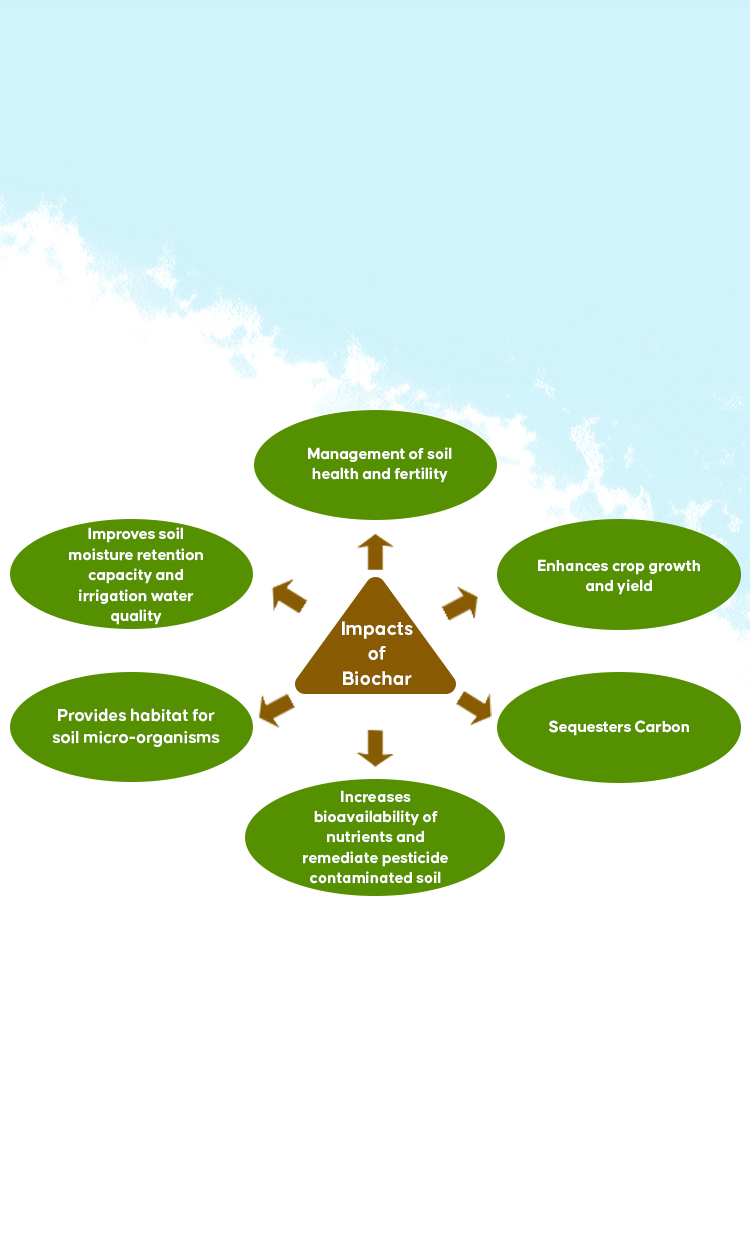 Impacts of BIOCHAR