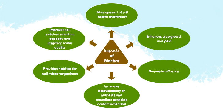 Impacts of BIOCHAR