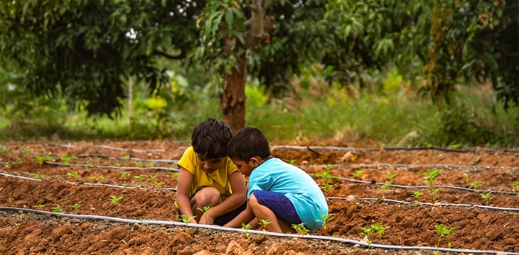 Farm Land Near Bangalore