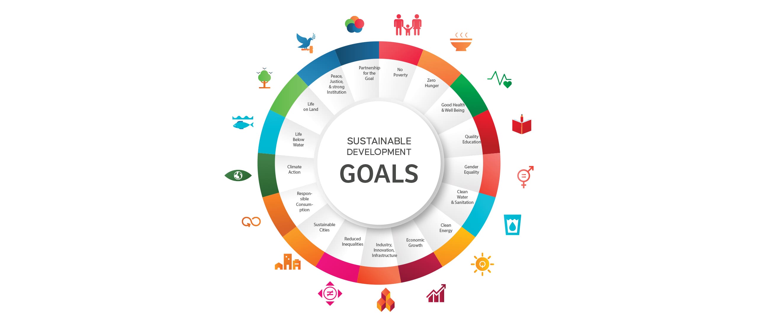 Revolutionizing Sustainability: How Hosachiguru's Regenerative Farming Aligns with United Nations Sustainable Development Goals