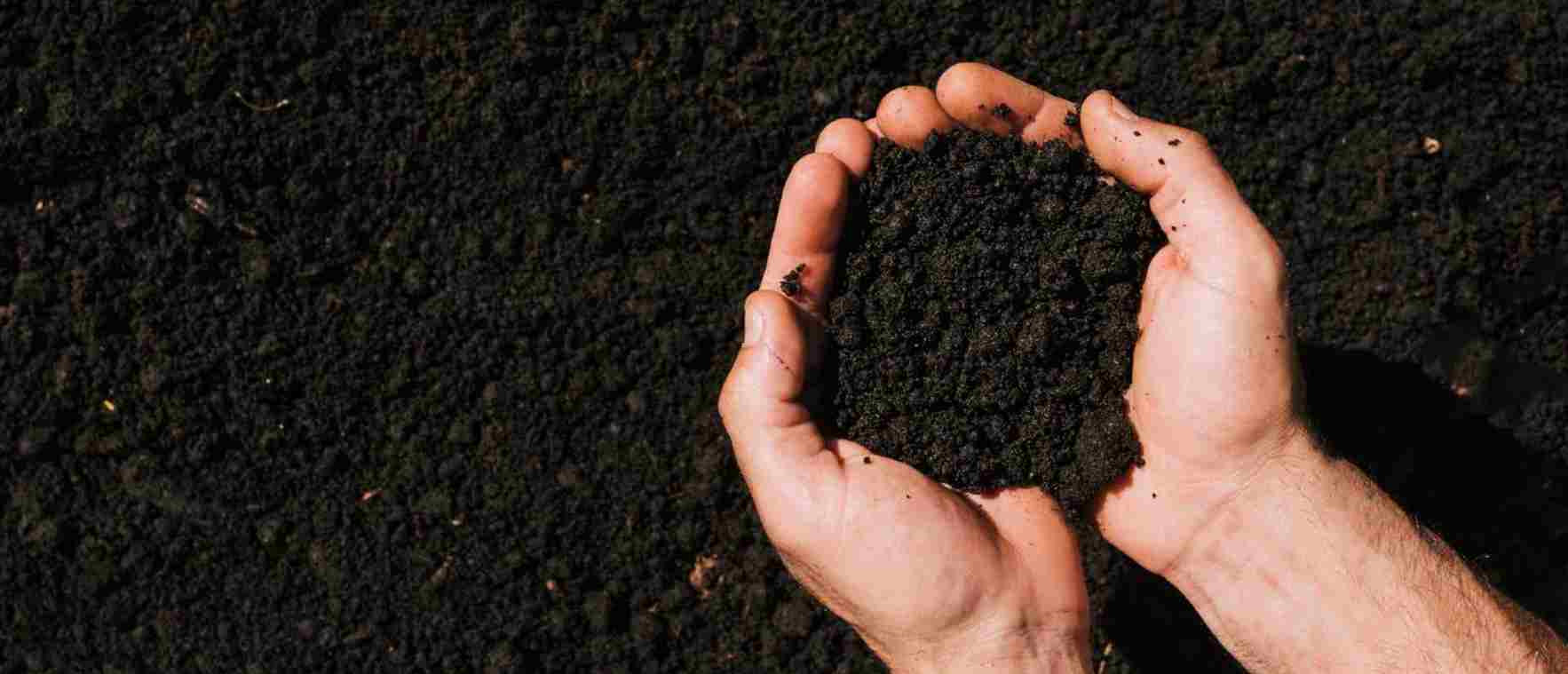 Grow Soil: Earth's Vital Renewal
