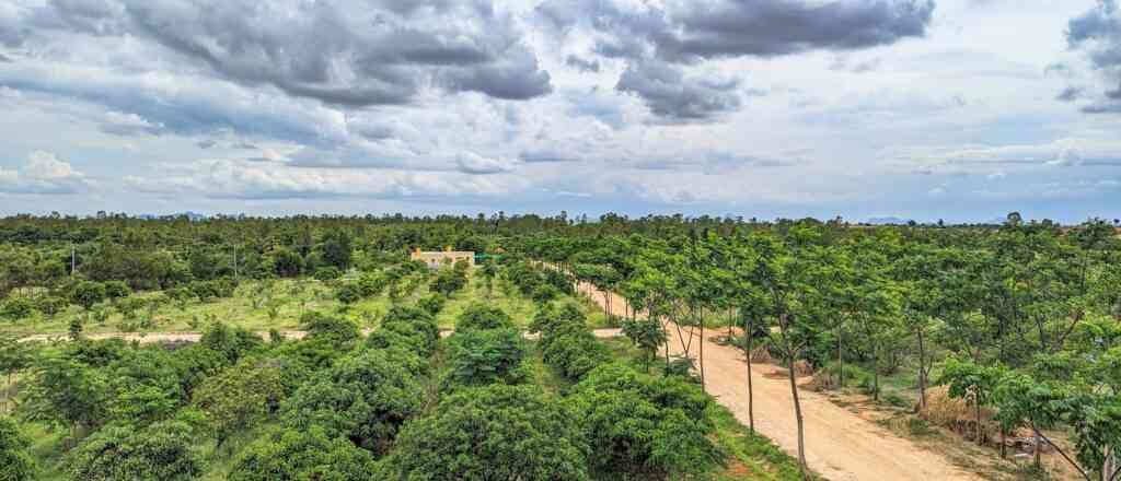 A Day Out In Hosachiguru’s Madhuvana Farm