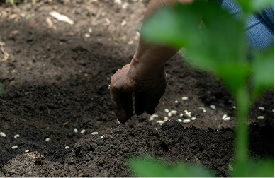 Overlay (2) Overlay (2)