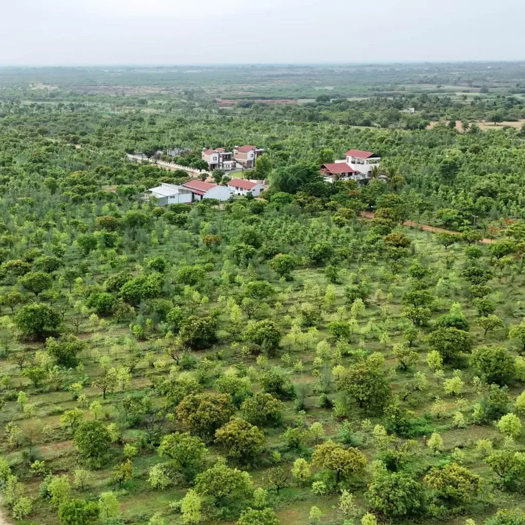 Buy Farm Land