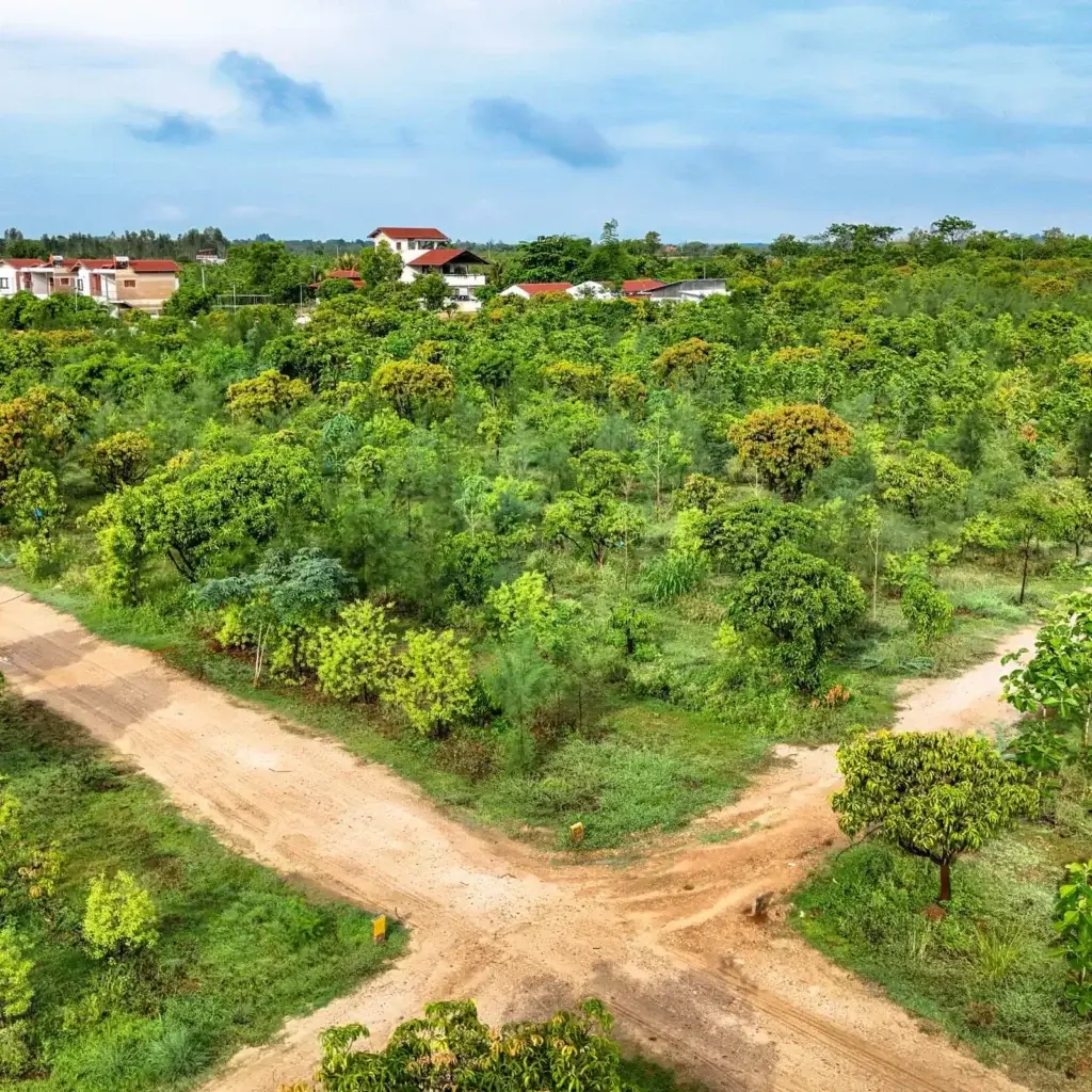 Buy Farm Land
