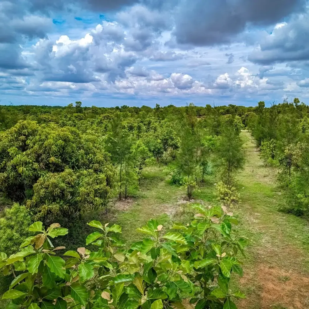 Buy Farm Land