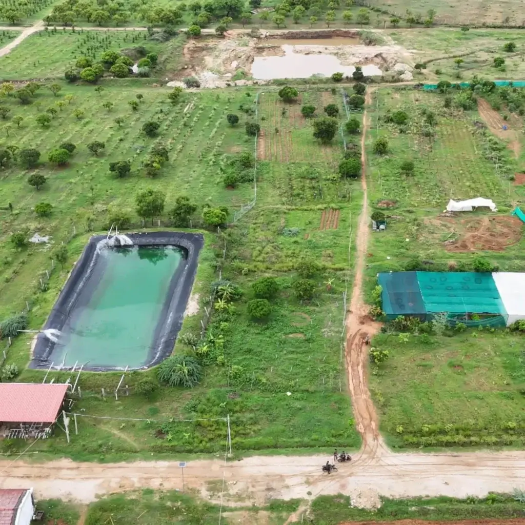 Buy Farm Land