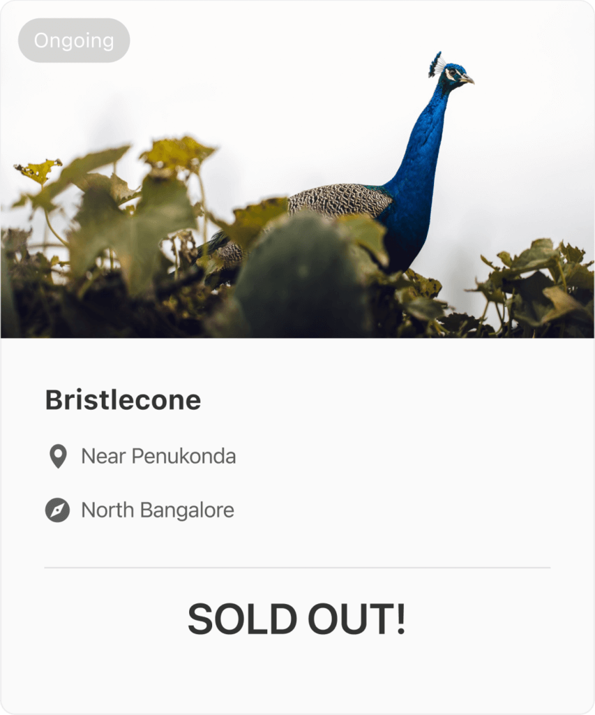 bristlecone farms near penukonda