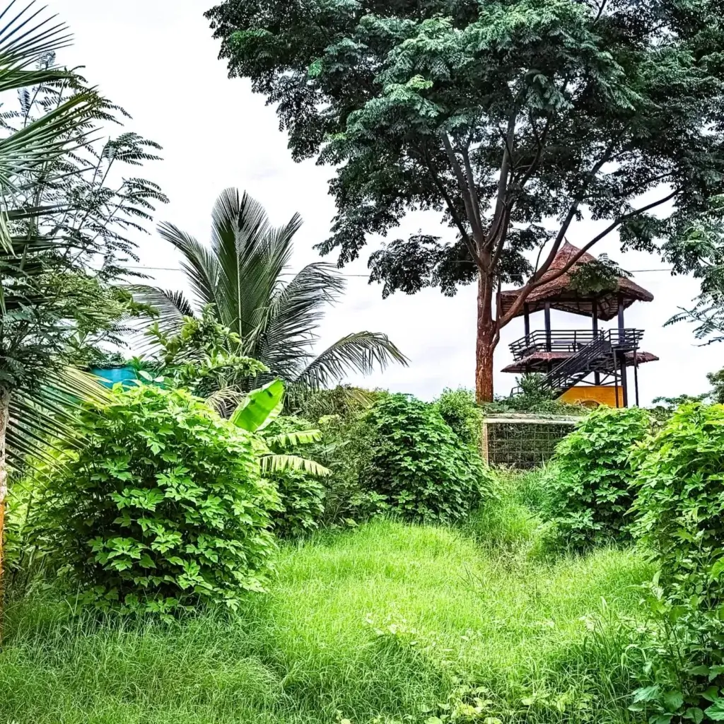 Buy Farm Land