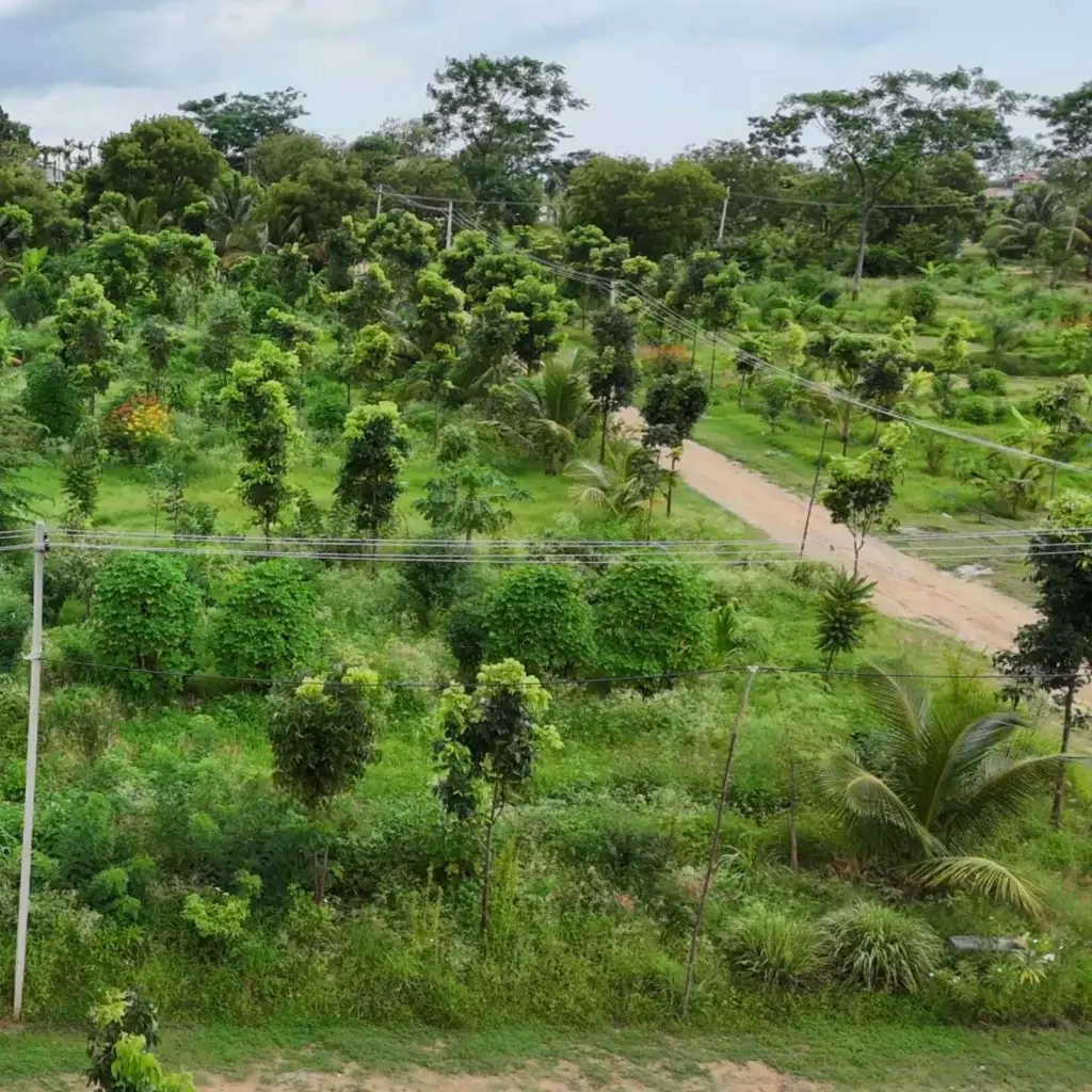 Buy Farm Land