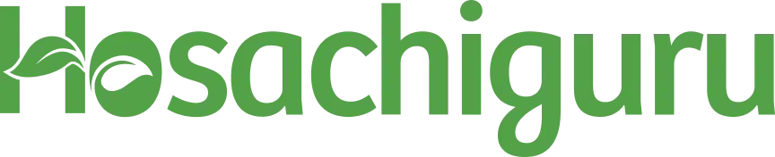 hosachiguru logo
