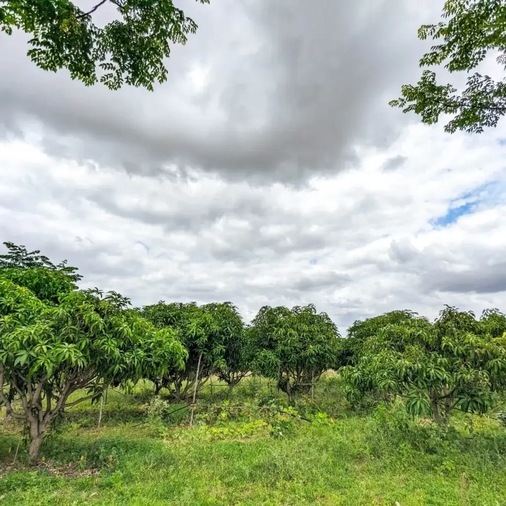 Buy Farm Land