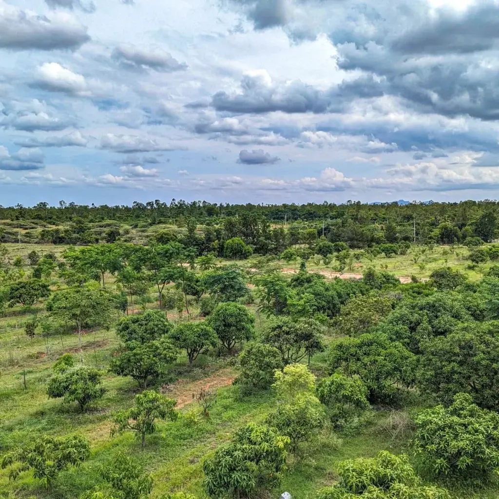Buy Farm Land