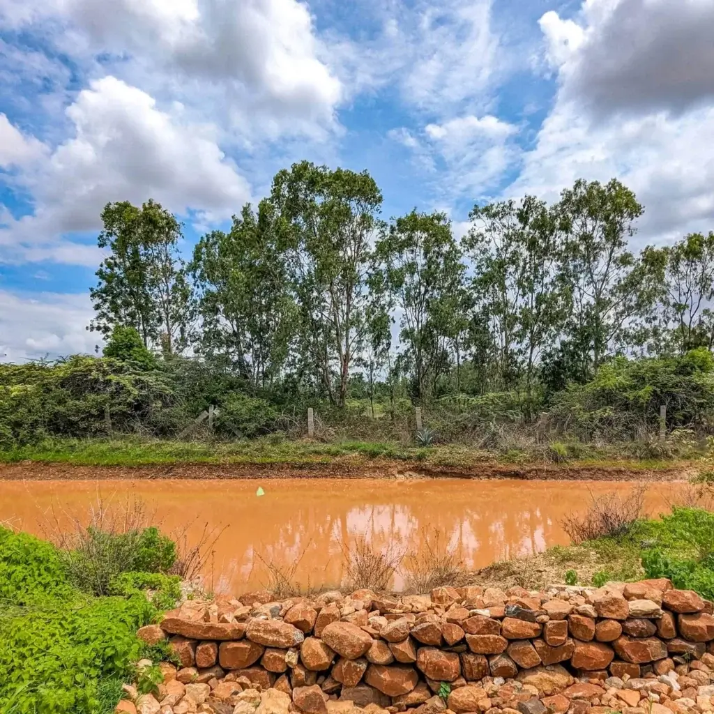 Buy Farm Land