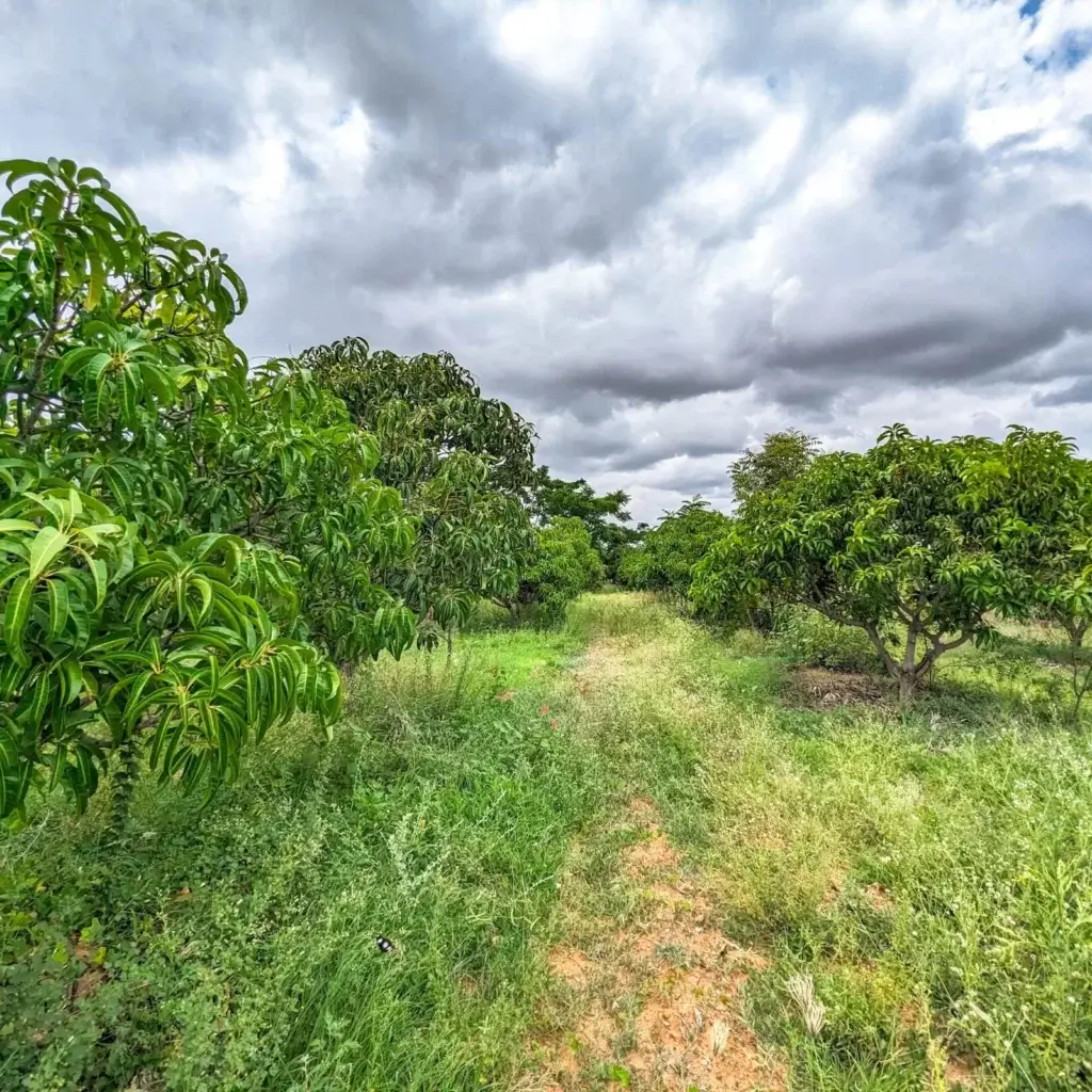 Buy Farm Land
