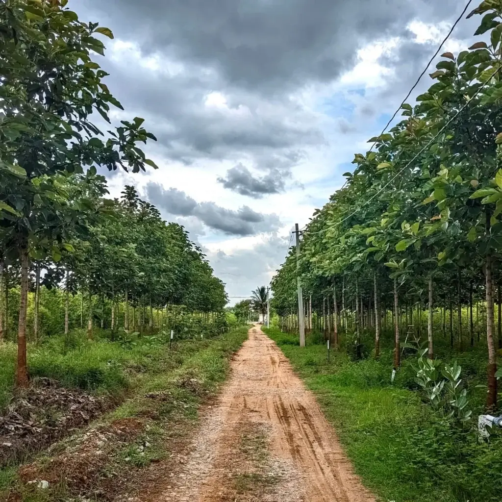 Buy Farm Land