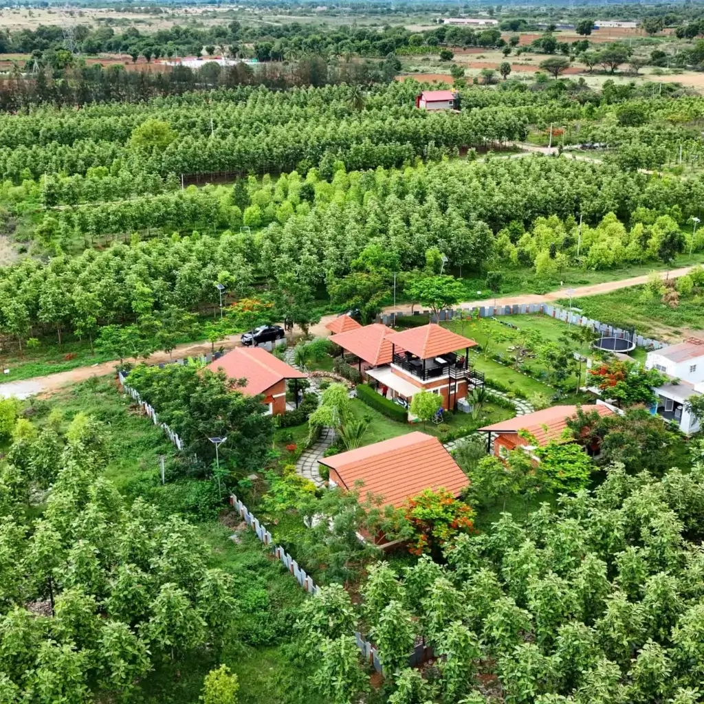 Buy Farm Land