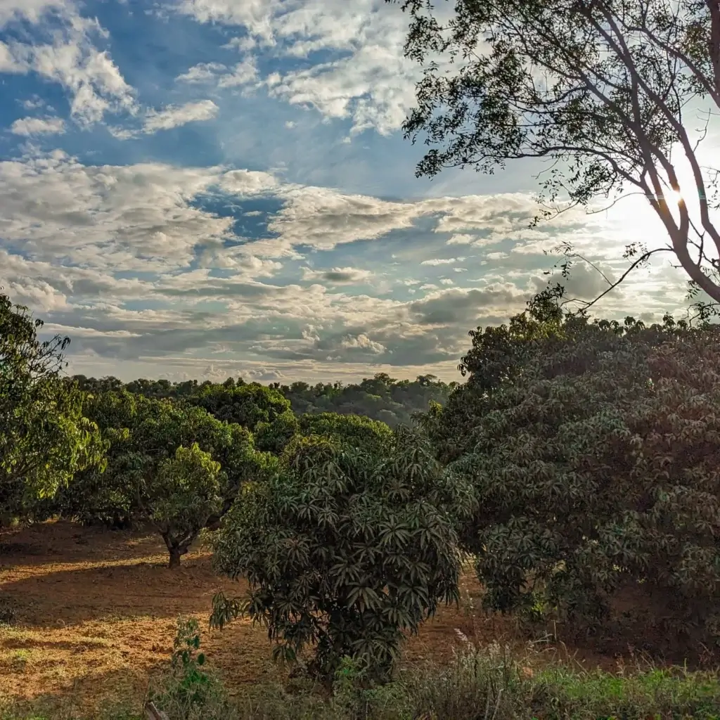 Buy Farm Land