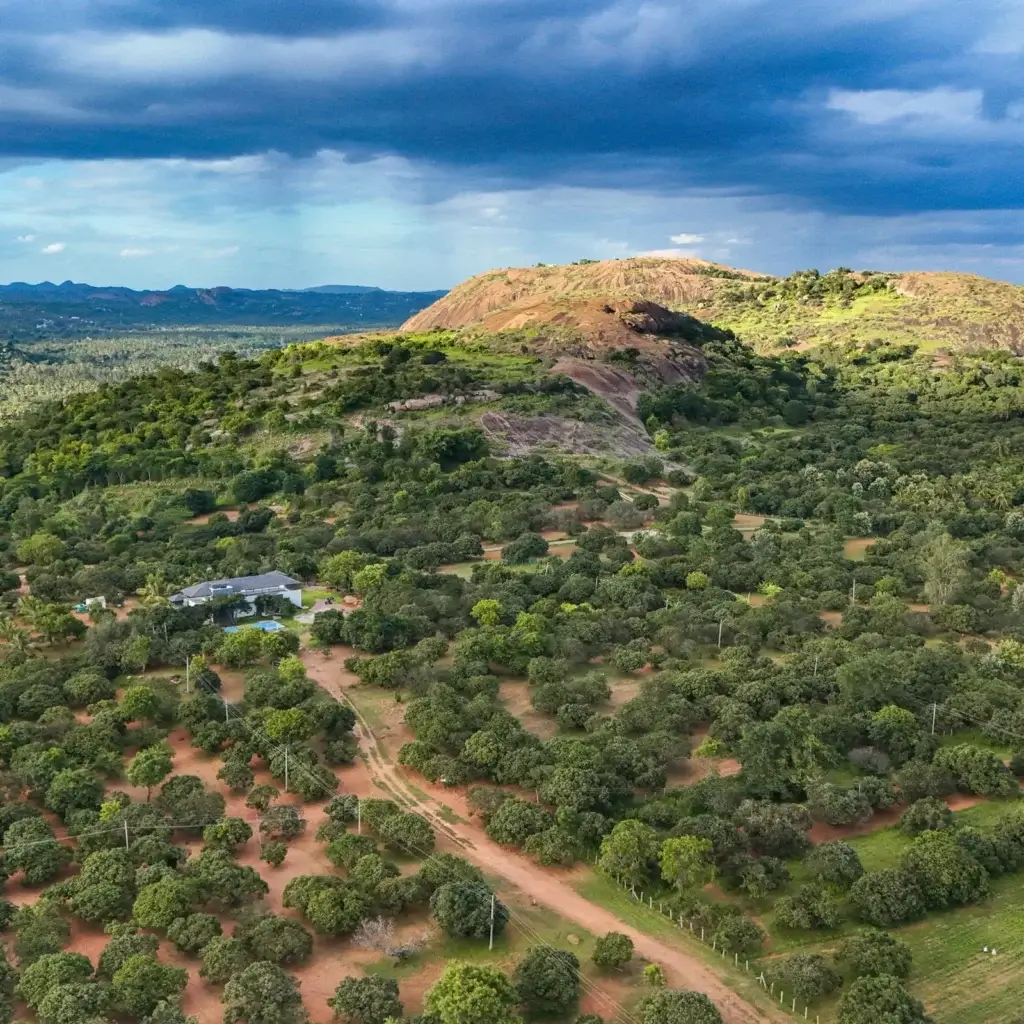 Buy Farm Land