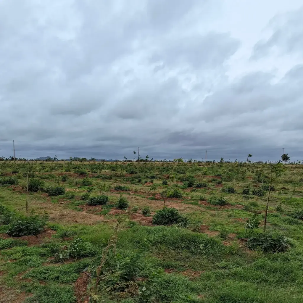 Buy Farm Land
