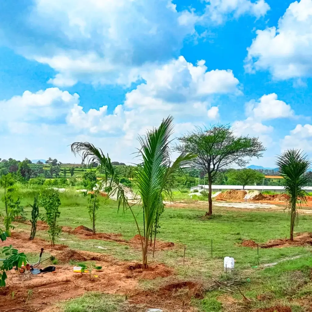 Buy Farm Land