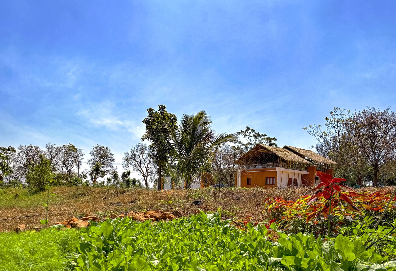 Aerial view of managed farmland near Bangalore