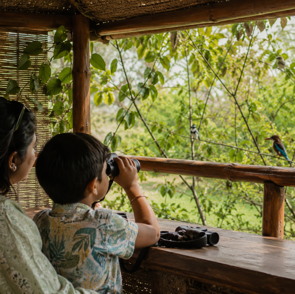 Bird Hideout at Hosachiguru Sambrahma