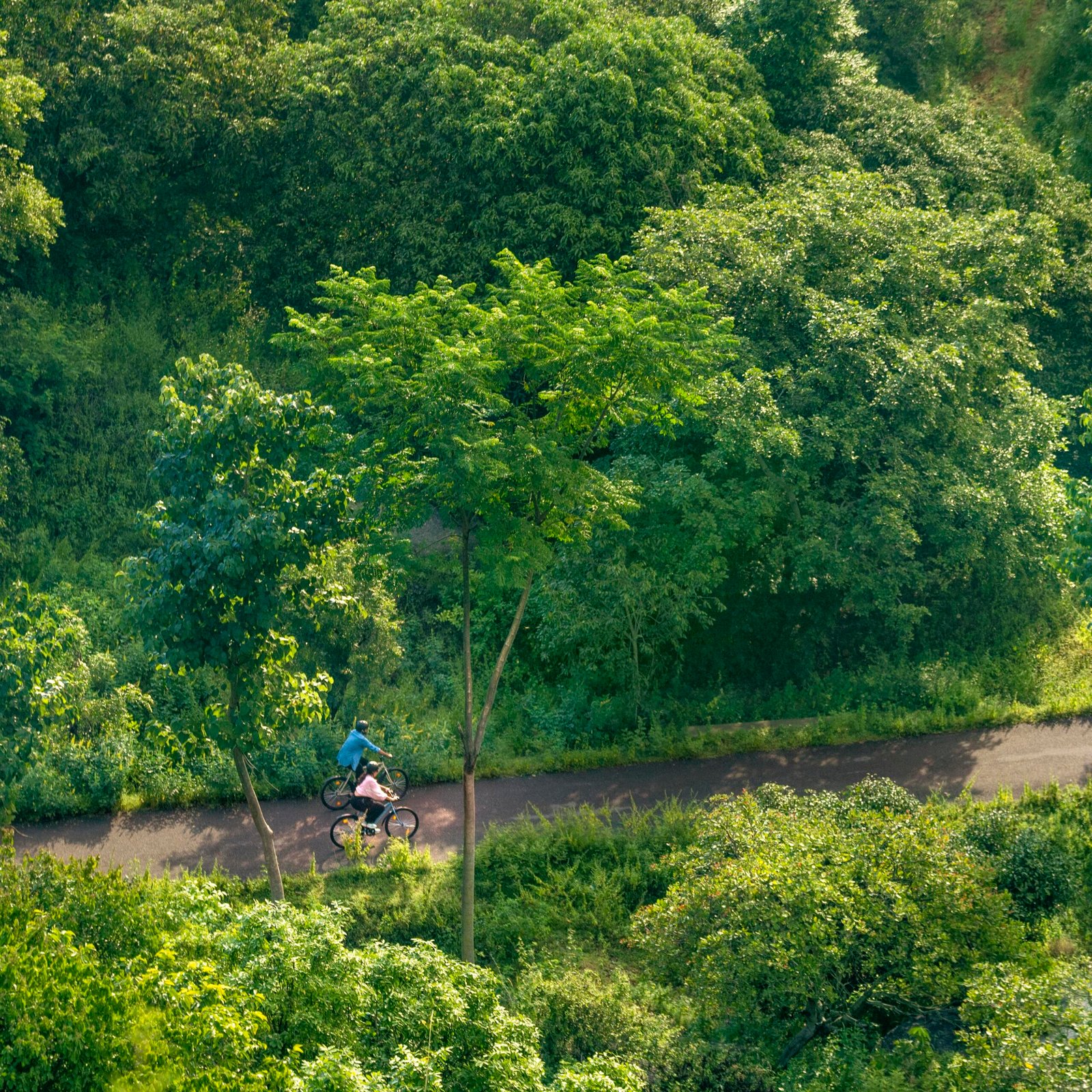 Cycling Track