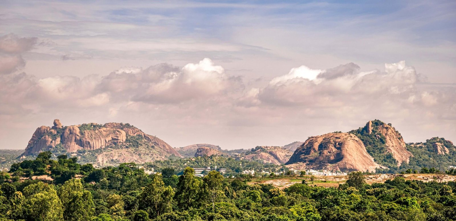The road to Hosachiguru Maamara, 45 minutes from Bangalore on the Mysore highway