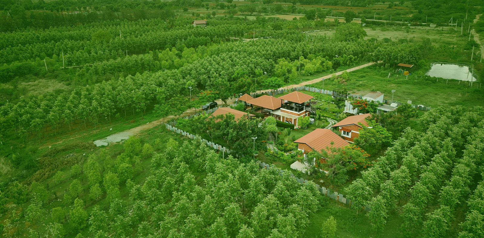 Hosachiguru aerial farm